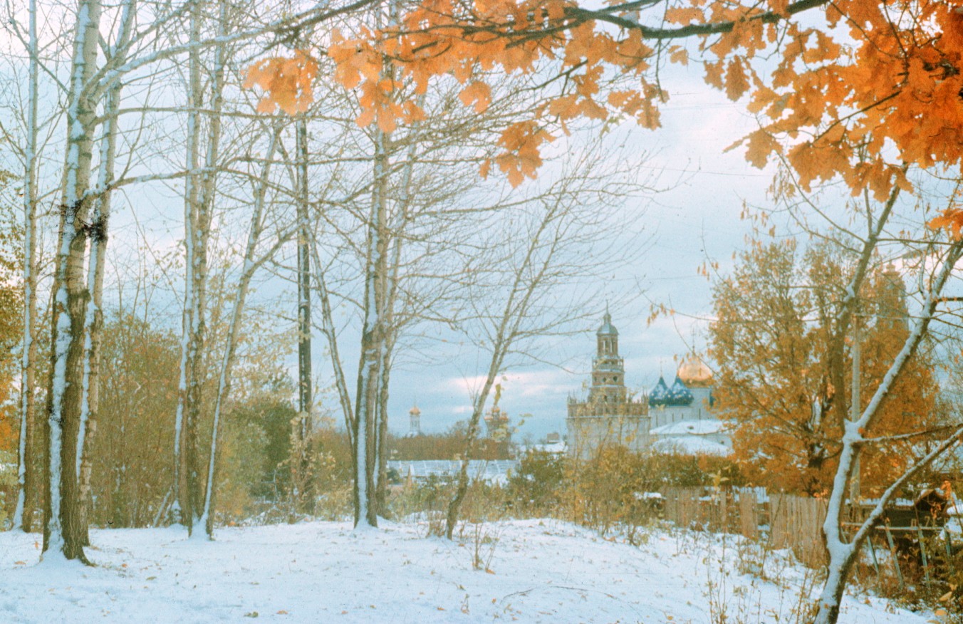 Первый снег пушкина. Первый снег. Скитские пруды зимой. Изменение осин осенью. Предзимье в Ленинграде картинки красивые.